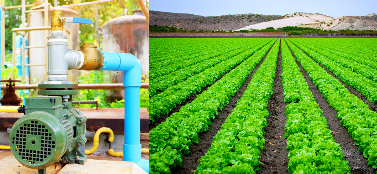 Sistemas de Bombeo Fotovoltaico para Electrobombas de Corriente Alterna: Innovación y Eficiencia Energética - ilumin